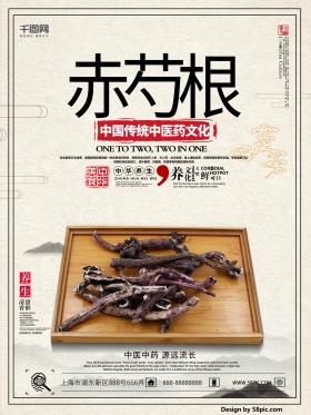 浅色中医药中国风赤芍根海报设计