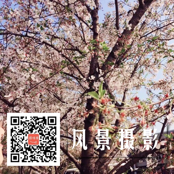 风景摄影