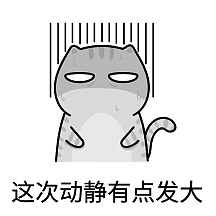 表情包这次动静有点发大黑线无语出汗