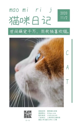 可爱猫咪萌宠