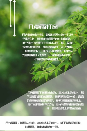 复古森林公众号配图