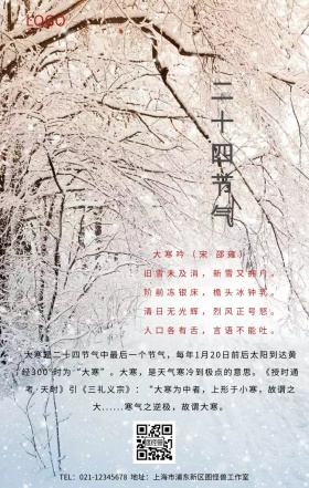 大寒节气打折海报