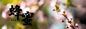 蜂胶