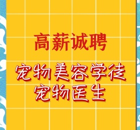 宠物可爱动物招聘诚聘朋友圈封面