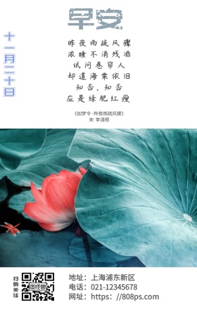 白色清新马路励志早安日签