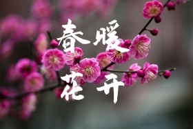 面朝大海春暖花开海报