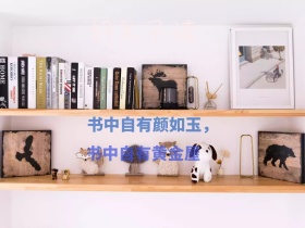 读书日主题花景公众号横版配图