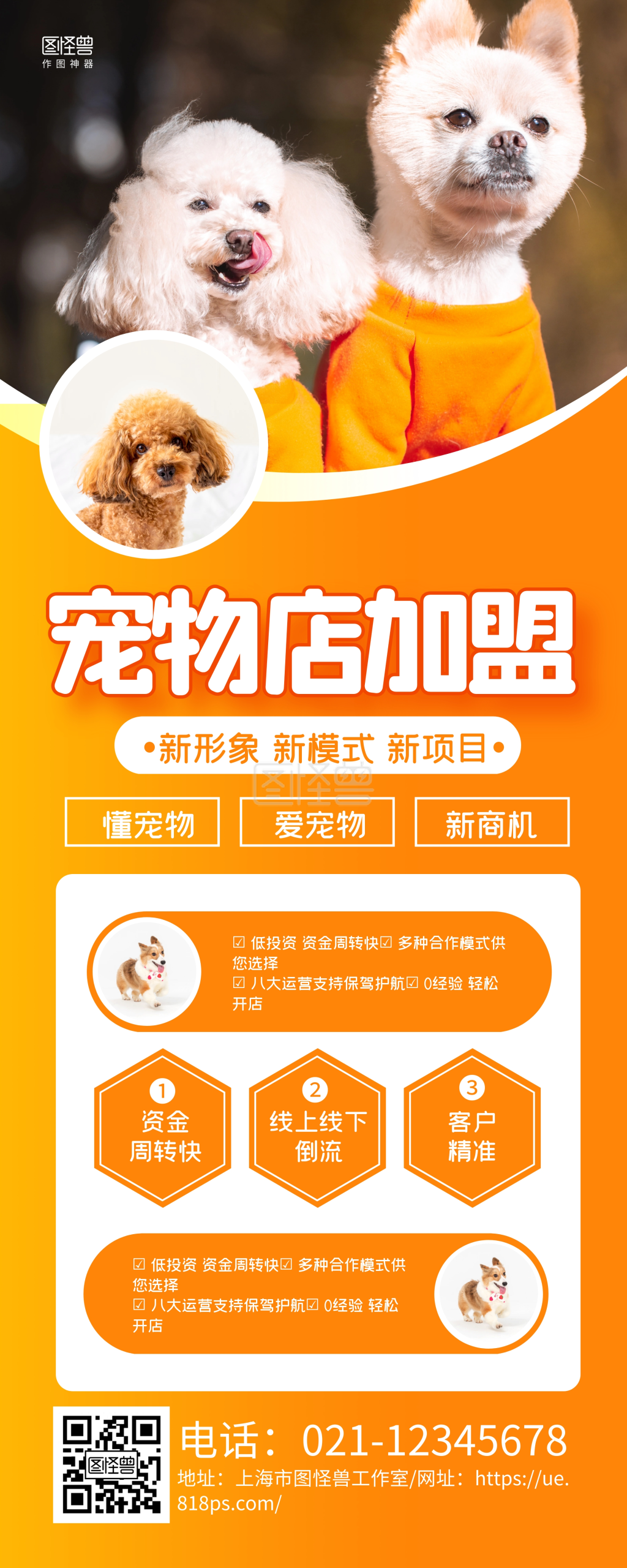橙色简约宠物店加盟招商宣传易拉宝