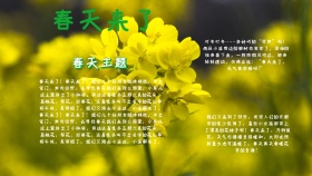 简约绿色关于春的手抄报