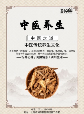 白色古风中医养生中医宣传海报