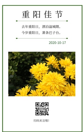 重阳节节日菊花绿色文艺简约日签