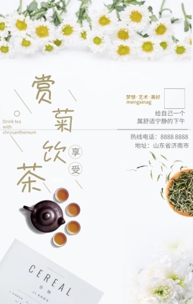 赏菊饮茶