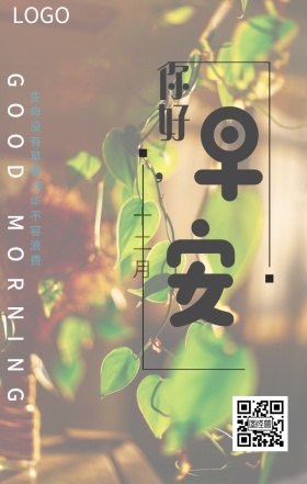 早安 日签 玫瑰花