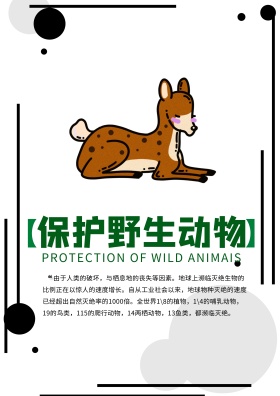 保护野生动物