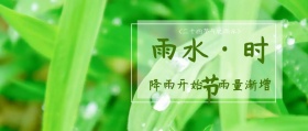 雨水节气公众号封面