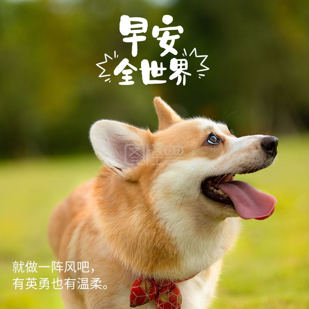 早晚安-早安全世界小狗可爱照片小天早晚安在线图片制作-图怪兽