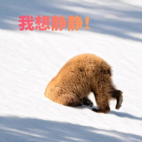 我想静静表情包