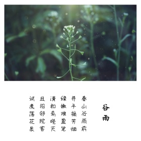 二十四节气谷雨简约古诗绿叶正方形配图