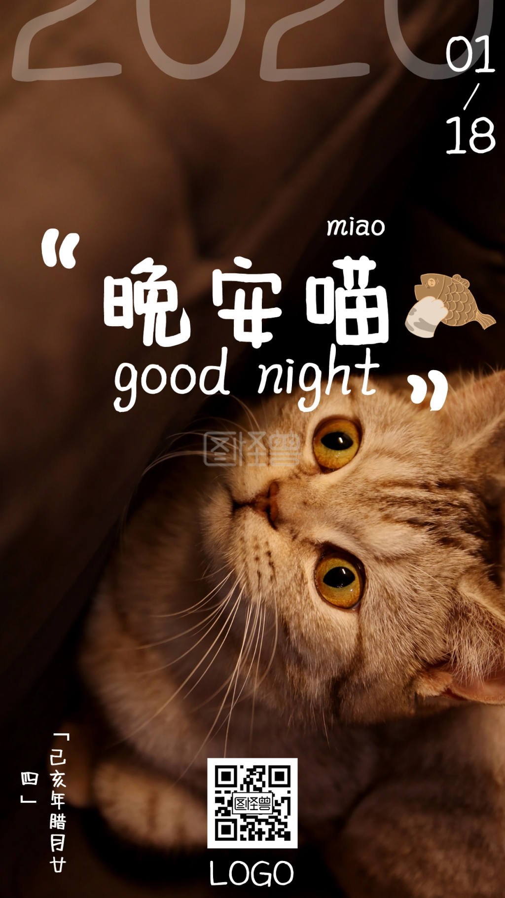 可爱猫咪-晚安可爱萌宠趣味摄影日签猫咪手机海报在线图片制作-图怪兽
