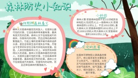 安全宣传森林防火手抄报