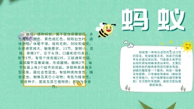 创意卡通扁平大气蚂蚁手抄报海报