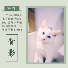 看着你的背影猫咪可爱绿色心情配图