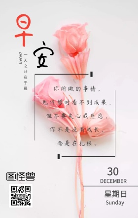 花朵早安