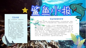 鲨鱼小报卡通蓝色手抄报