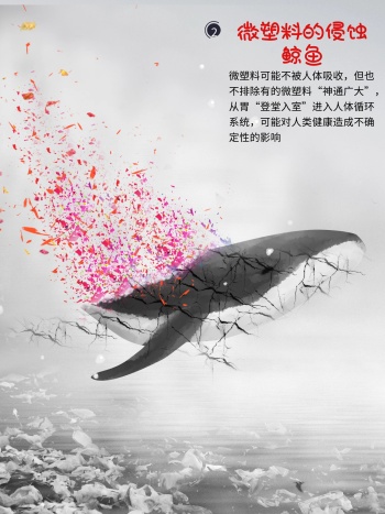 微塑料的侵蚀鲸鱼海报