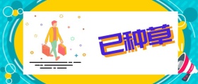已种草 深夜种草购物促销波普风公众号封面