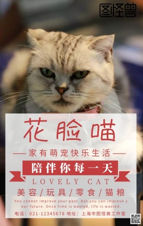 花脸喵简约创意宣传海报