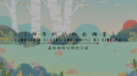 森林探险记创意神秘旅游公众号封面