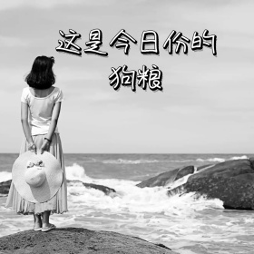 今日份狗粮狗狗可爱黄色卡通表情包