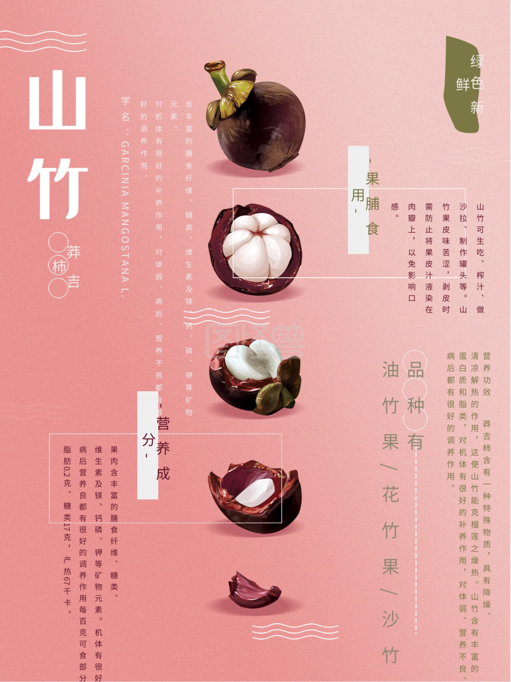 原创手绘山竹水果海报