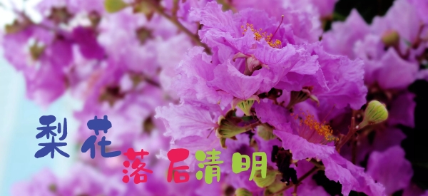 春景