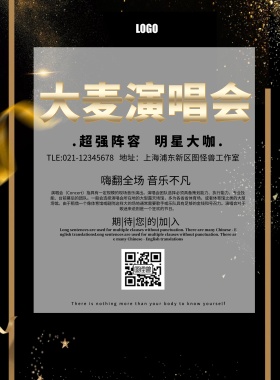 大麦演唱会炫酷简约大气印刷海报