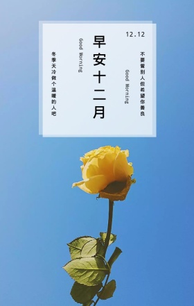 手绘动漫美女日签     