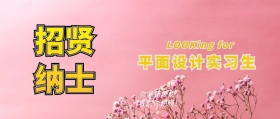 招聘招人聘用黄简约公众号封面