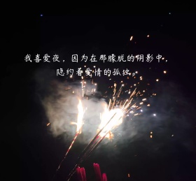 我喜爱夜朦胧的阴影中隐约着爱情的孤独