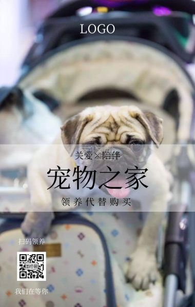 关爱宠物领养公益海报