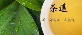 茶道公众号封面