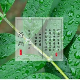 二十四节气谷雨绿色简约叶子方形配图