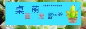 粉蓝色可爱风多肉桌面萌宠淘宝电商天猫海报banner