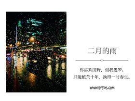 文艺简约森系女生胶片摄影公众号配图