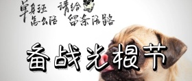 简约大气新媒体媒体备战光棍节公众号封面