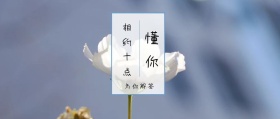 懂你 相约十点 为你解答 倾我们所能去生活