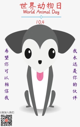 世界动物日手绘海报