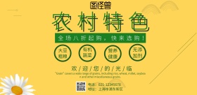 农村特色精品店海报
