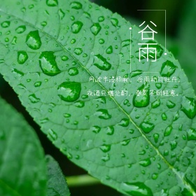 二十四节气谷雨古风诗词公众号配图