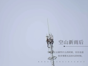 古典静谧文艺自然风景山林公众号配图
